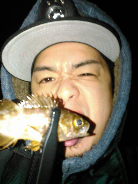 茶メバと黒メバ